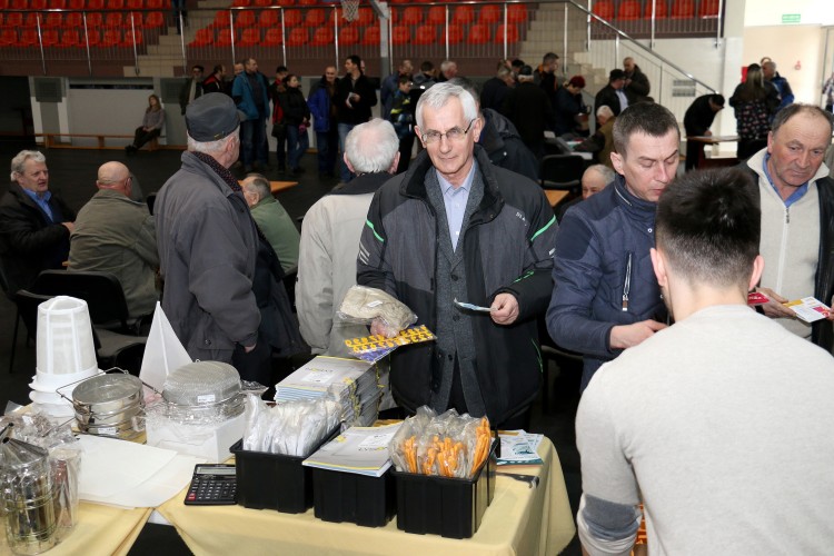 Warroza – główny problem hodowców pszczół