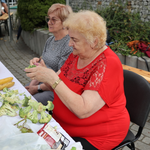 Dni Ustrzyk Dolnych 2022- dzień 1