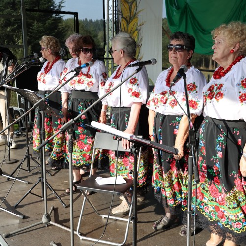 Dożynki Gminne 2023