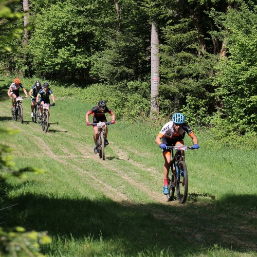 II Podkarpacka Liga Rowerowa w formule XC (cz. 1)