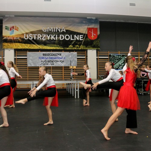 IV Bieszczadzkie Forum Organizacji Pozarządowych