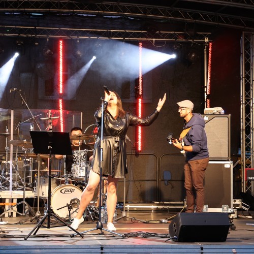 Koncert zespołu Video