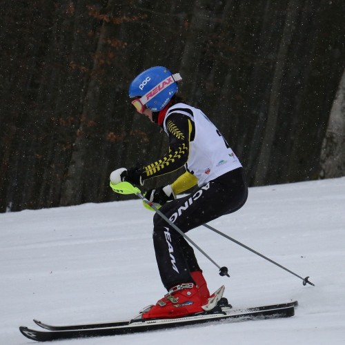 Międzynarodowe Zawody 