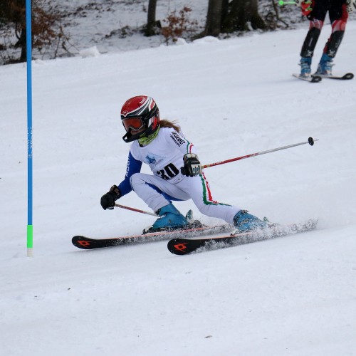 Międzynarodowe Zawody 