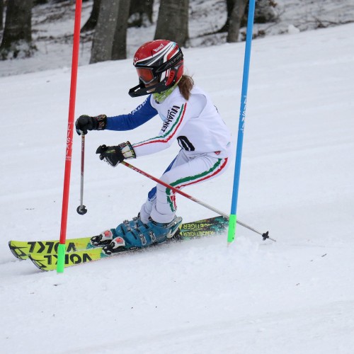 Międzynarodowe Zawody 