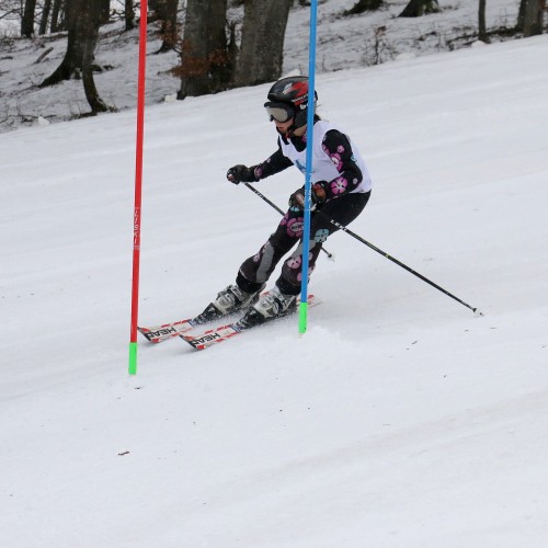 Międzynarodowe Zawody 