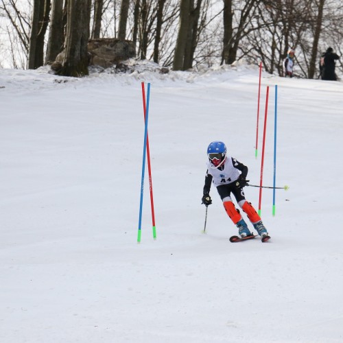 Międzynarodowe Zawody 