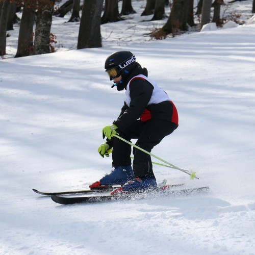 Międzynarodowe Zawody 