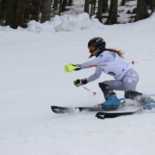 Międzynarodowe Zawody 