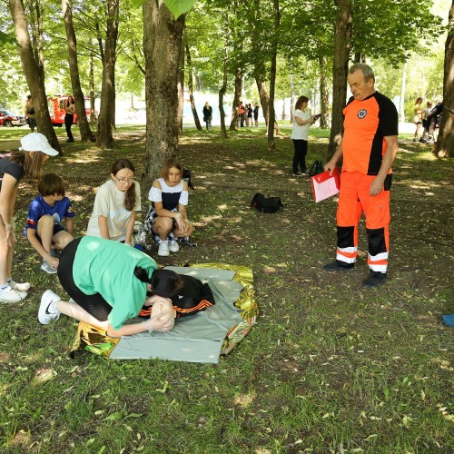 Mistrzostwa Pierwszej Pomocy Przedmedycznej