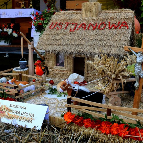 Fotorelacja z dożynek gminnych w Ustjanowej Dolnej