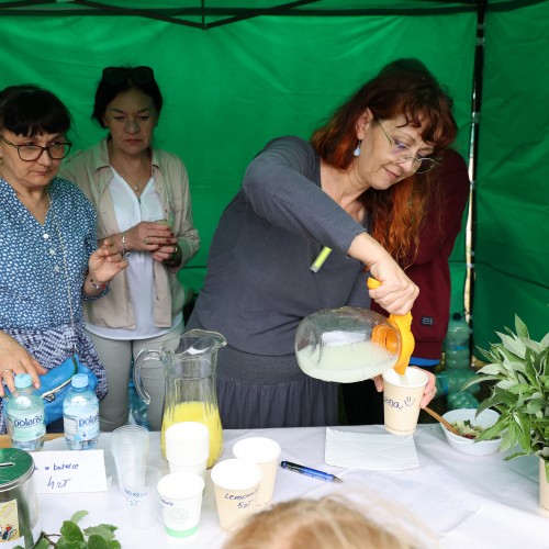 Piknik rodzinny z Promykiem Nadziei 