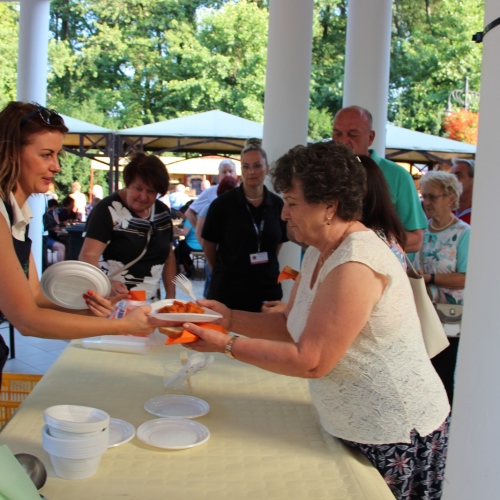 Promocja Ustrzyk Dolnych na festiwalu w Heviz (Węgry)
