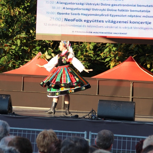 Promocja Ustrzyk Dolnych na festiwalu w Heviz (Węgry)